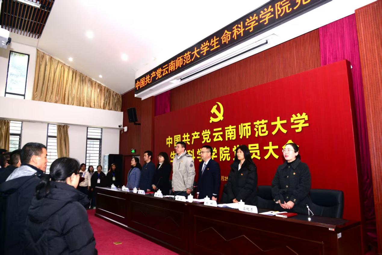 e7a846e6741b7bd43f34c0547636156a